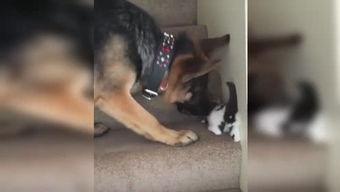 吐槽爆料寒哥的视频大全,笑料百出，真相大白  第3张