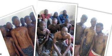 私人奴隶在线观看,私人奴隶在线观看现象深度剖析  第1张